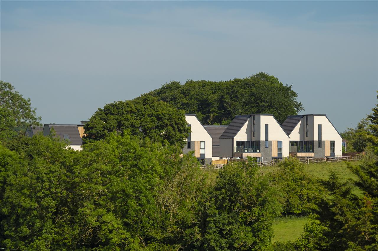 A view across trees towards the homes at the Lydden Hills development from Pentland Homes showing the houses from the back.